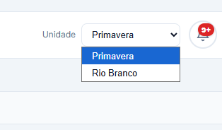 Resumo separado por unidades da instituição